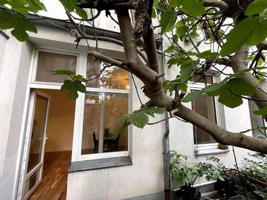 Cosy & Central Flat Near Duesseldorf Center Εξωτερικό φωτογραφία
